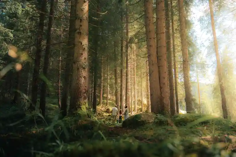 Famiglia nella foresta